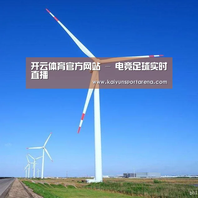 风能