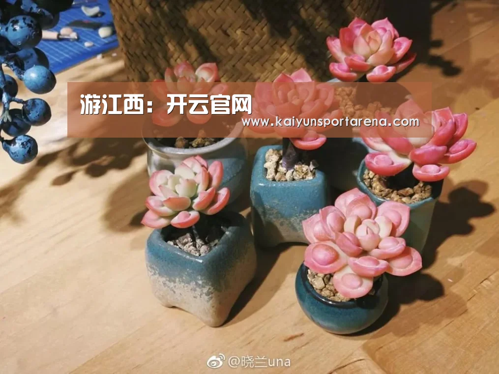 游江西:开云官网(图1) 开云足球
